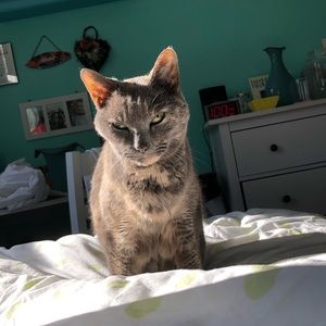 Meet your Posher, Jayden